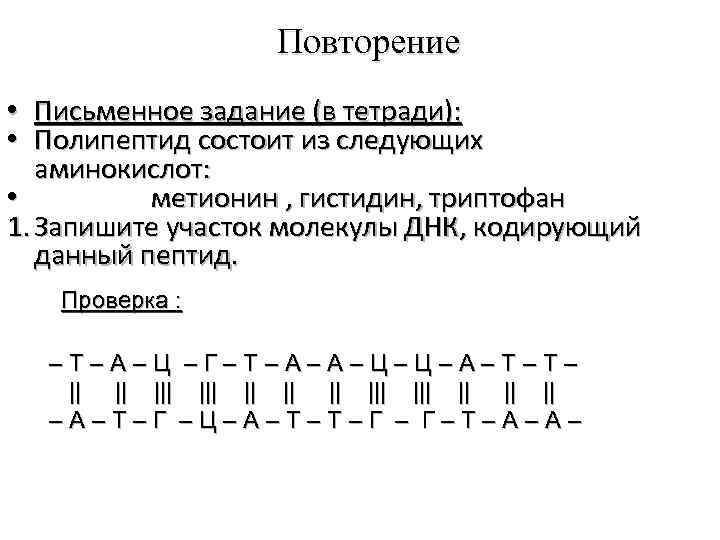 Повторение • Письменное задание (в тетради): • Полипептид состоит из следующих аминокислот: • метионин