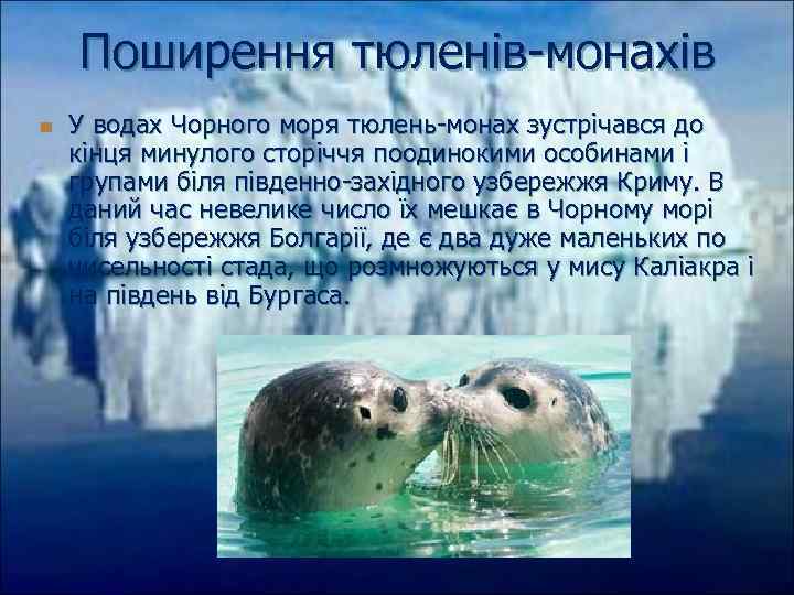 Поширення тюленів-монахів n У водах Чорного моря тюлень-монах зустрічався до кінця минулого сторіччя поодинокими