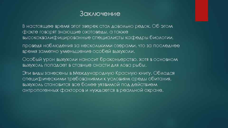 Заключение В настоящее время этот зверек стал довольно редок. Об этом факте говорят знающие