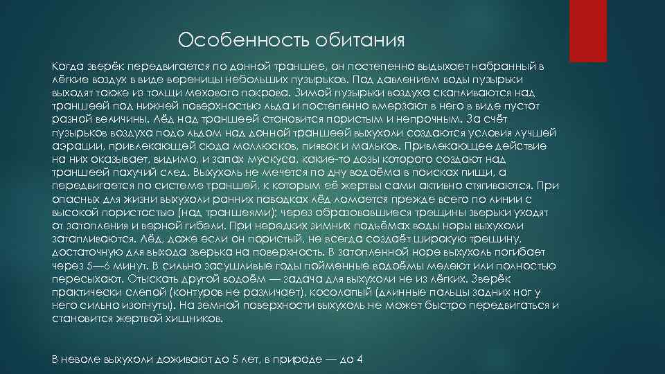 Особенность обитания Когда зверёк передвигается по донной траншее, он постепенно выдыхает набранный в лёгкие