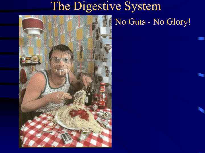 The Digestive System No Guts - No Glory! 