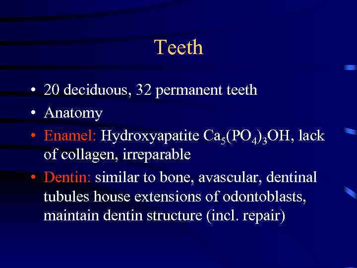 Teeth • 20 deciduous, 32 permanent teeth • Anatomy • Enamel: Hydroxyapatite Ca 5(PO