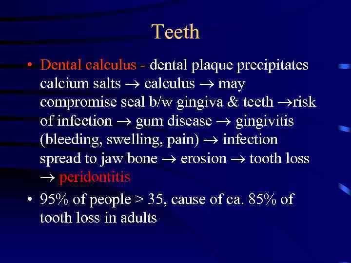 Teeth • Dental calculus - dental plaque precipitates calcium salts calculus may compromise seal