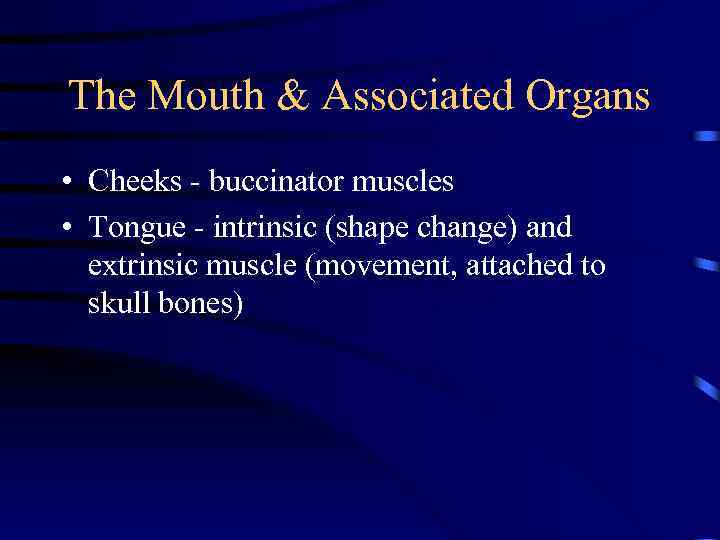 The Mouth & Associated Organs • Cheeks - buccinator muscles • Tongue - intrinsic