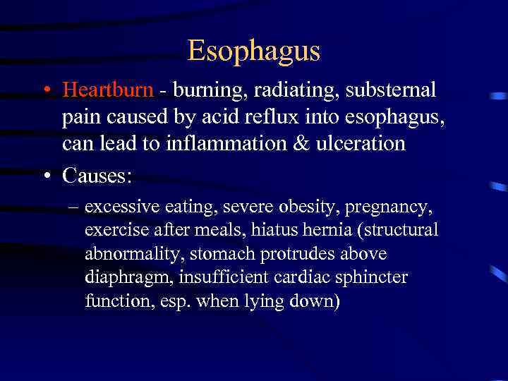 Esophagus • Heartburn - burning, radiating, substernal pain caused by acid reflux into esophagus,