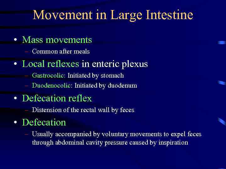 Movement in Large Intestine • Mass movements – Common after meals • Local reflexes