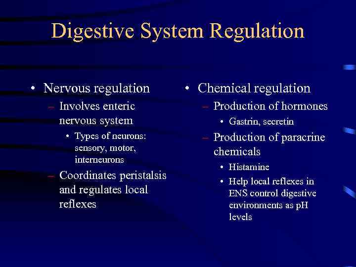 Digestive System Regulation • Nervous regulation – Involves enteric nervous system • Types of