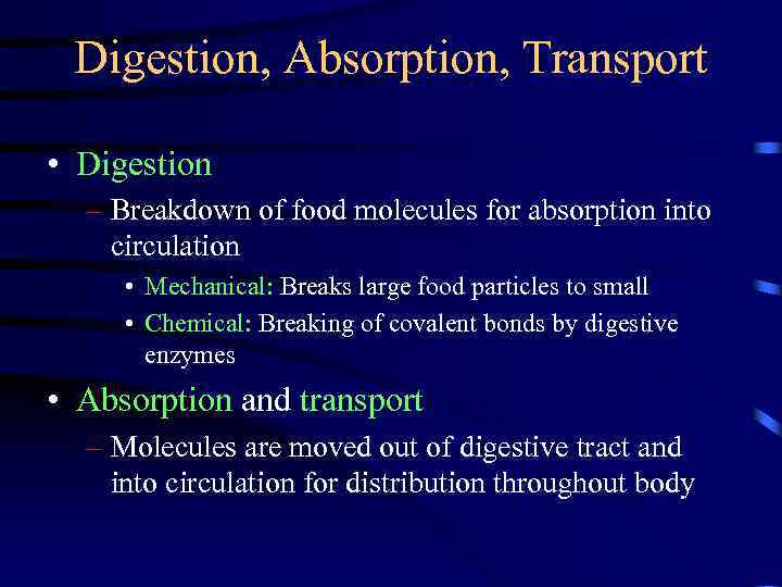 Digestion, Absorption, Transport • Digestion – Breakdown of food molecules for absorption into circulation