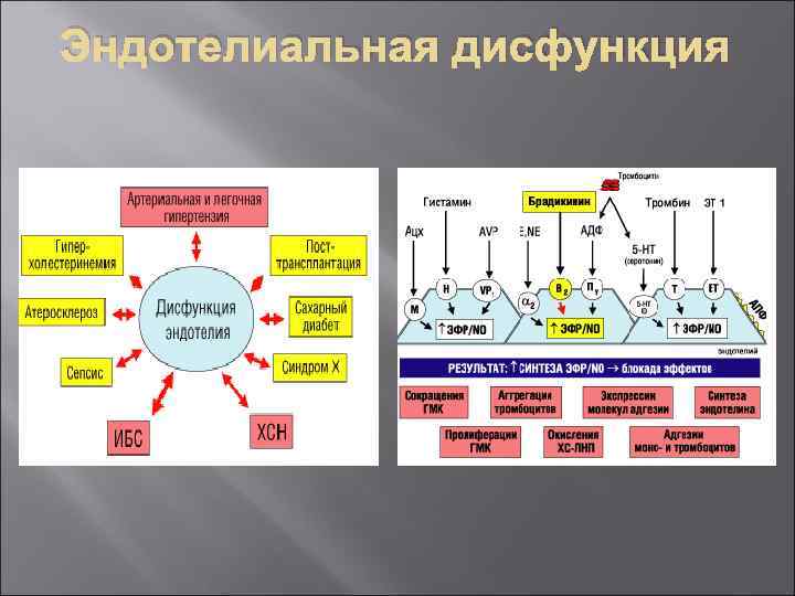 Эндотелиальная дисфункция 