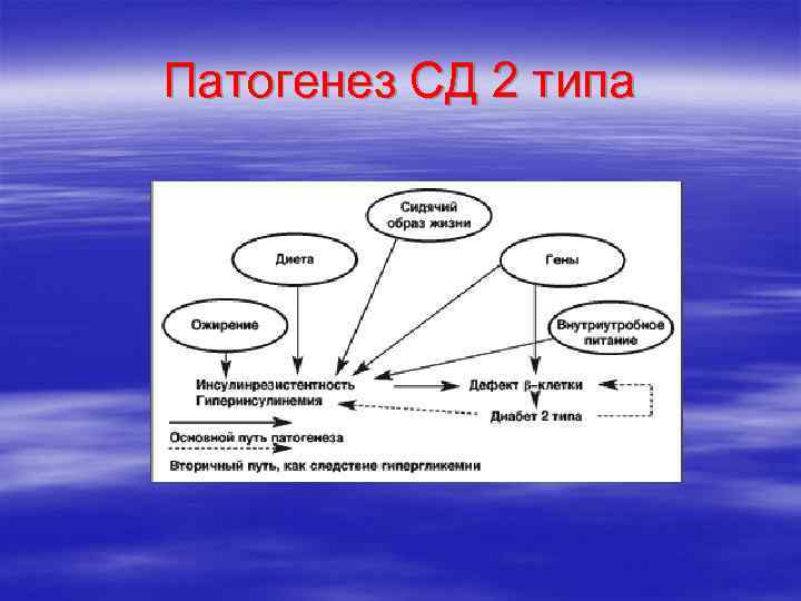 Патогенез СД 2 типа 