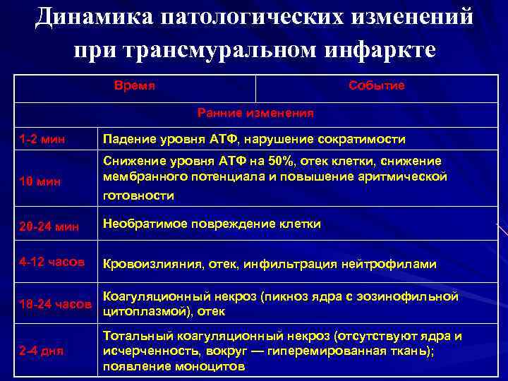 Динамика патологических изменений при трансмуральном инфаркте Время Событие Ранние изменения 1 -2 мин Падение