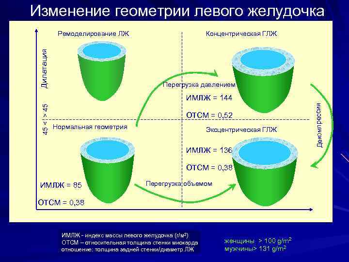 Изменение геометрии левого желудочка Концентрическая ГЛЖ Дилатация Ремоделирование ЛЖ Перегрузка давлением ОТСМ = 0,