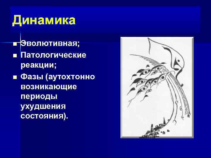 Динамика n n n Эволютивная; Патологические реакции; Фазы (аутохтонно возникающие периоды ухудшения состояния). 