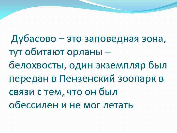 Дубасово – это заповедная зона, тут обитают орланы – белохвосты, один экземпляр был передан