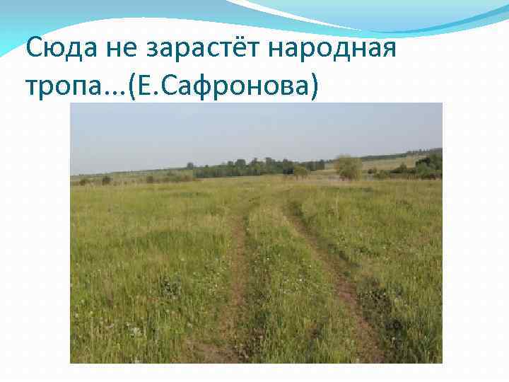 Сюда не зарастёт народная тропа. . . (Е. Сафронова) 