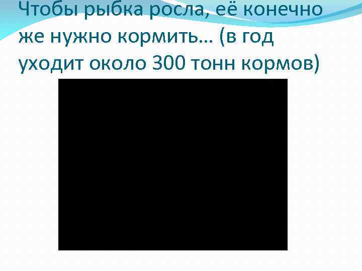 Чтобы рыбка росла, её конечно же нужно кормить… (в год уходит около 300 тонн