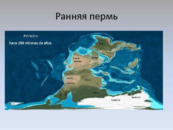 Ранняя пермь 