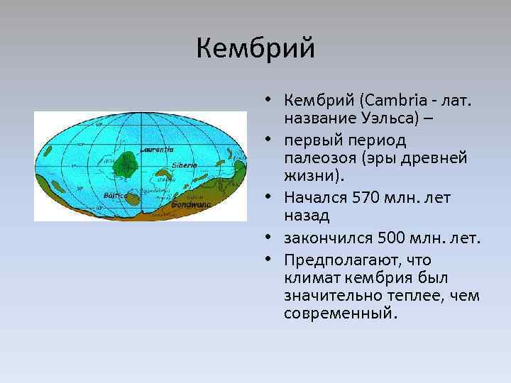 Кембрий • Кембрий (Cambria - лат. название Уэльса) – • первый период палеозоя (эры