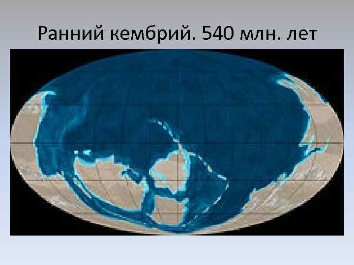 Ранний кембрий. 540 млн. лет 
