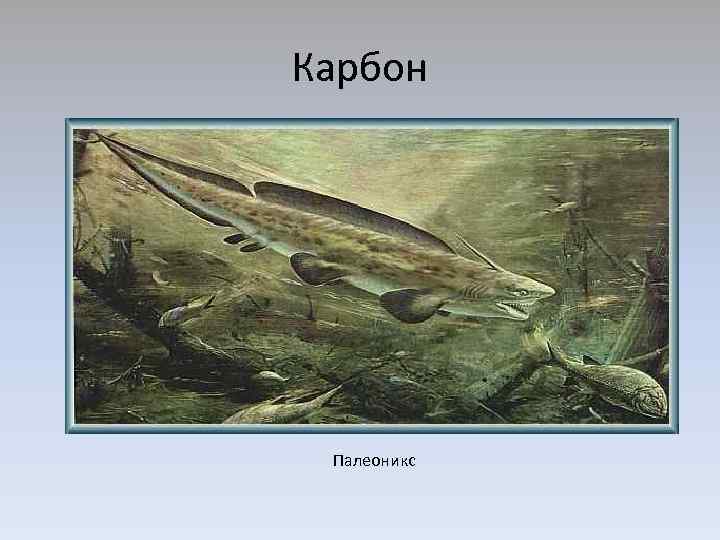Карбон Палеоникс 