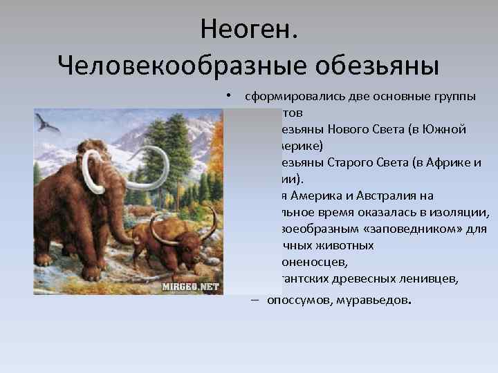 Второй период кайнозоя 6 букв. Человекообразные обезьяны неоген. Неоген лекция. Неоген период Продолжительность. Что происходило в неогене кратко.