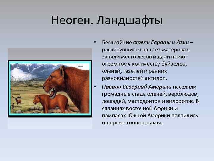 Неоген. Ландшафты • Бескрайние степи Европы и Азии – раскинувшиеся на всех материках, заняли
