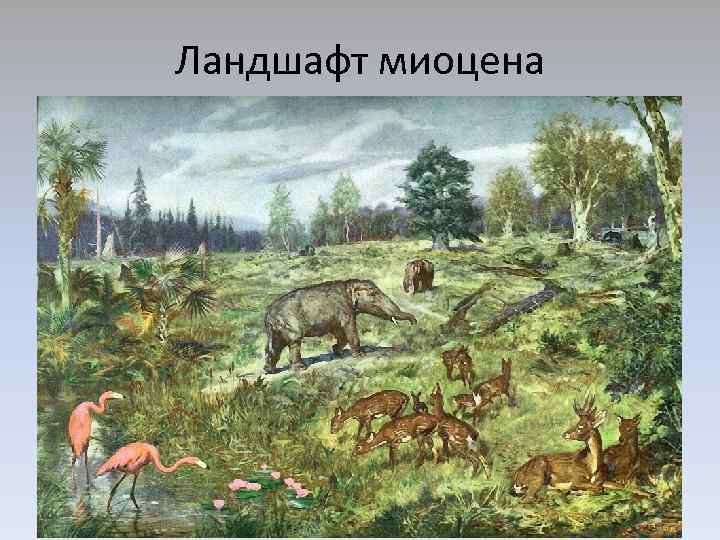 Ландшафт миоцена 