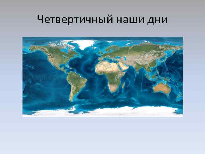 Четвертичный наши дни 