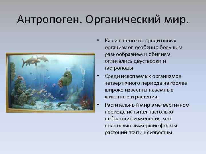 Антропоген это период относящийся. Органический мир неогена. Антропоген. Антропоген характеристика. Антропогены и их деятельность.