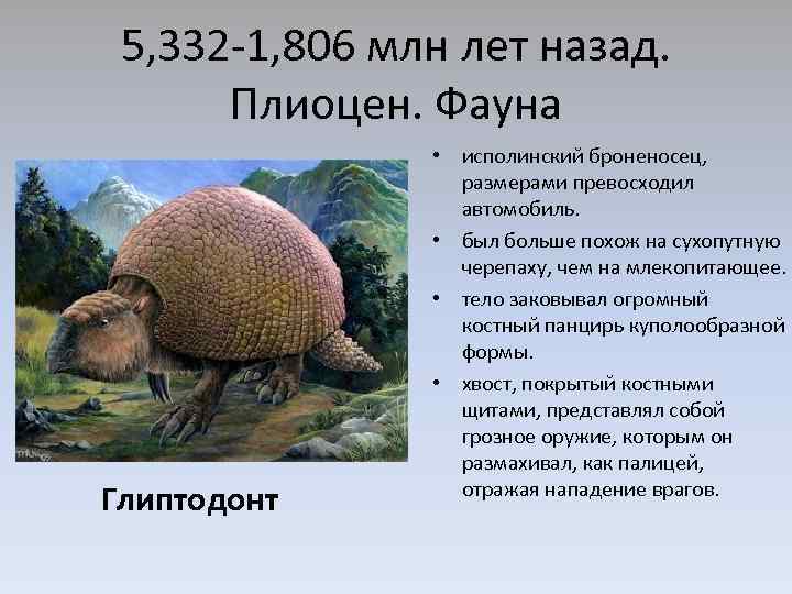 5, 332 -1, 806 млн лет назад. Плиоцен. Фауна Глиптодонт • исполинский броненосец, размерами