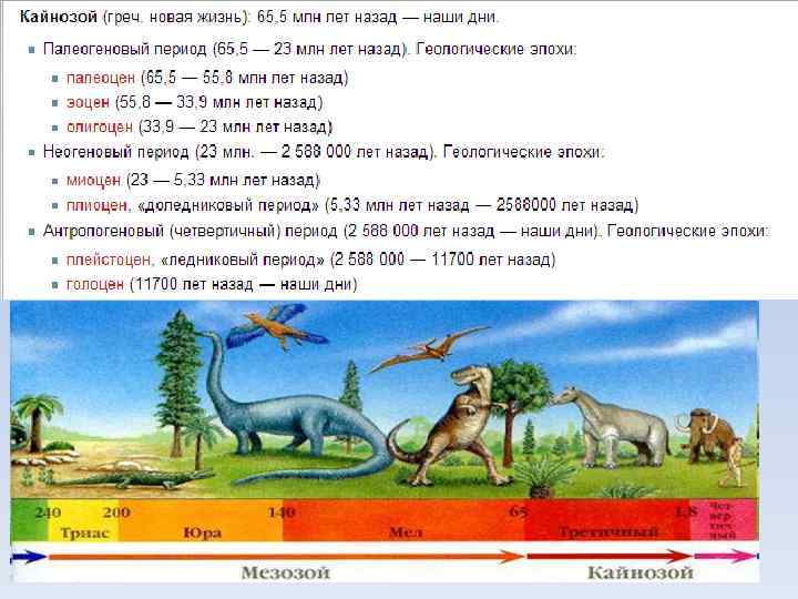 Кайнозой презентация 9 класс