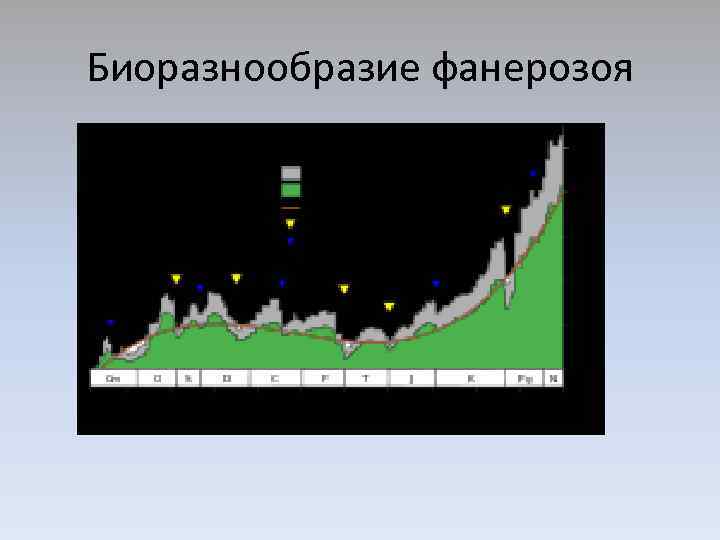 Биоразнообразие фанерозоя 
