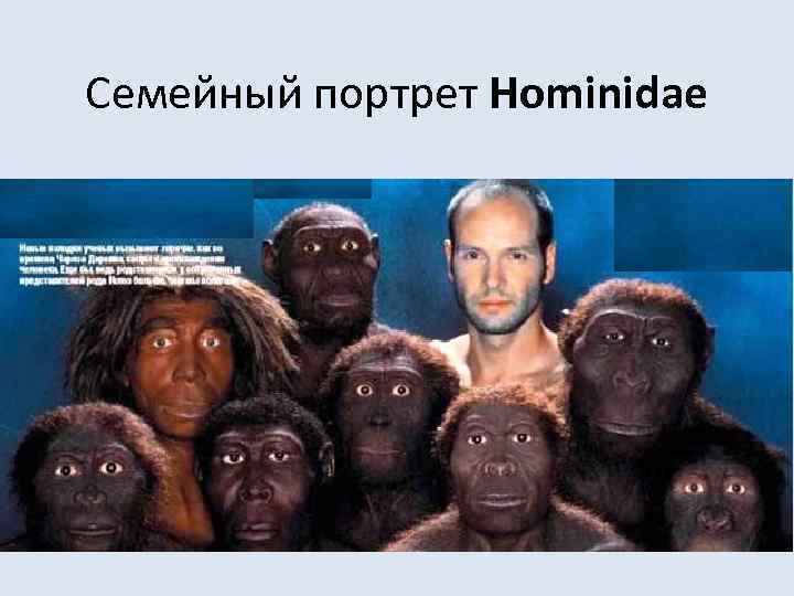 Семейный портрет Hominidae 