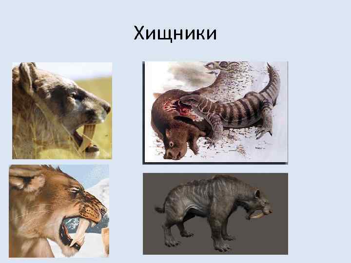 Хищники 