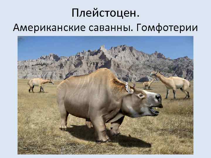 Плейстоцен. Американские саванны. Гомфотерии 