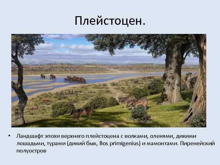 Плейстоцен. • Ландшафт эпохи верхнего плейстоцена с волками, оленями, дикими лошадьми, турами (дикий бык,