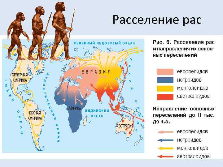 Карта расселения рас