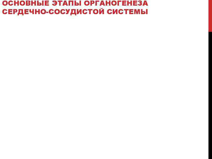 ОСНОВНЫЕ ЭТАПЫ ОРГАНОГЕНЕЗА СЕРДЕЧНО-СОСУДИСТОЙ СИСТЕМЫ 