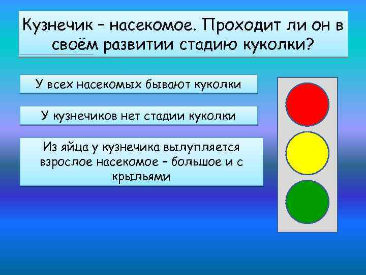 Кузнечик – насекомое. Проходит ли он в своём развитии стадию куколки? У всех насекомых