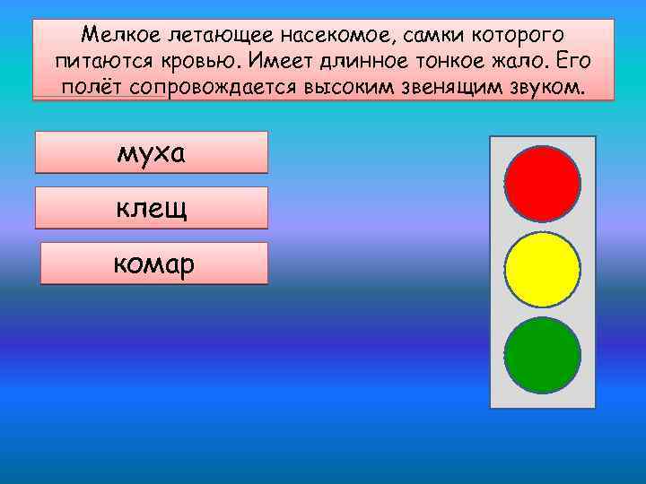 Мелкое летающее насекомое, самки которого питаются кровью. Имеет длинное тонкое жало. Его полёт сопровождается