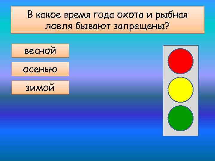 В какое время года охота и рыбная ловля бывают запрещены? весной осенью зимой 