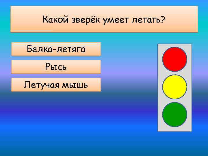 Какой зверёк умеет летать? Белка-летяга Рысь Летучая мышь 