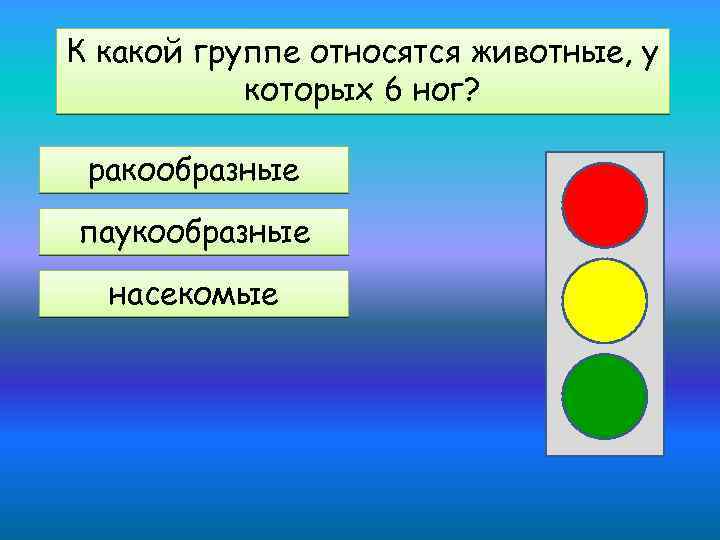 К какой группе относятся животные, у которых 6 ног? ракообразные паукообразные насекомые 