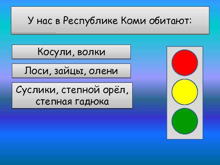 У нас в Республике Коми обитают: Косули, волки Лоси, зайцы, олени Суслики, степной орёл,