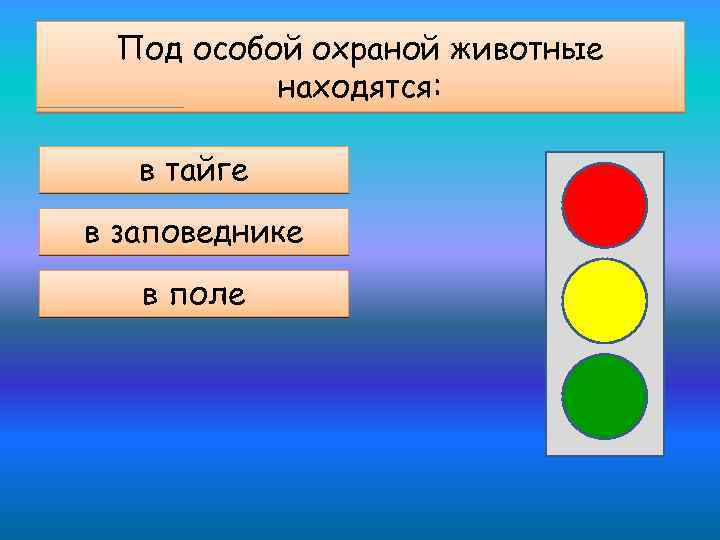 Под особой охраной животные находятся: в тайге в заповеднике в поле 