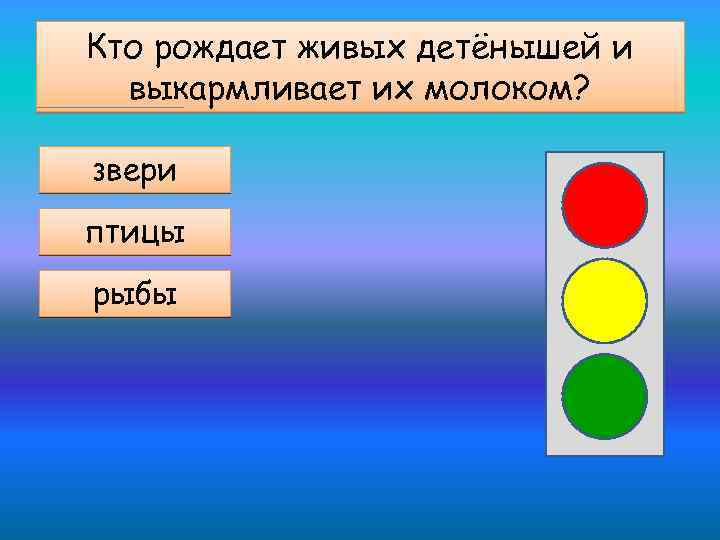 Кто рождает живых детёнышей и выкармливает их молоком? звери птицы рыбы 