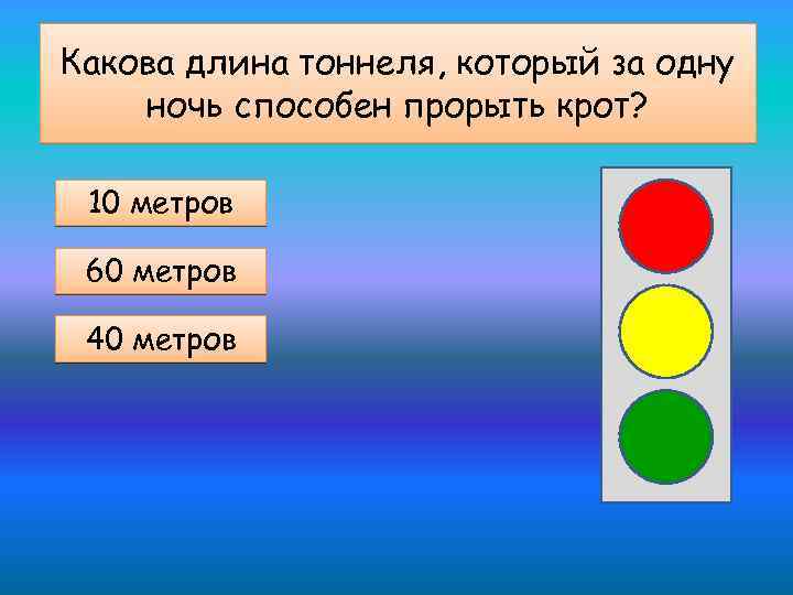 Какова длина тоннеля, который за одну ночь способен прорыть крот? 10 метров 60 метров