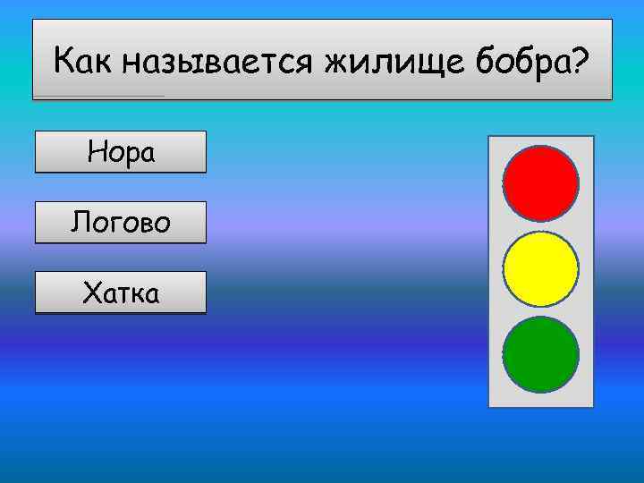 Как называется жилище бобра? Нора Логово Хатка 