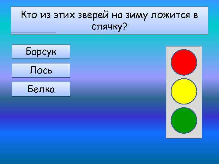 Кто из этих зверей на зиму ложится в спячку? Барсук Лось Белка 