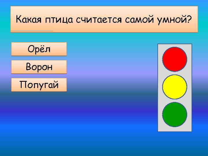 Какая птица считается самой умной? Орёл Ворон Попугай 
